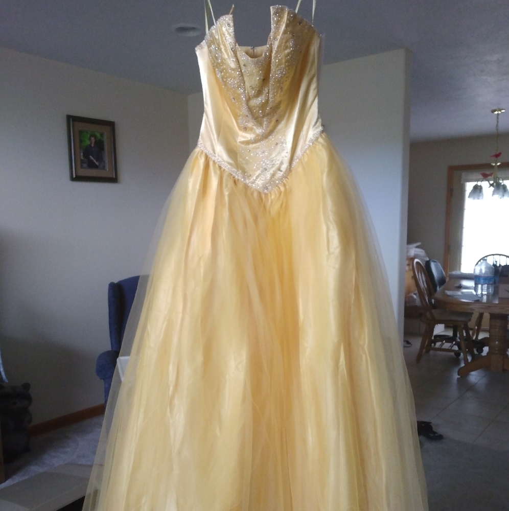 Prom/pageant dress